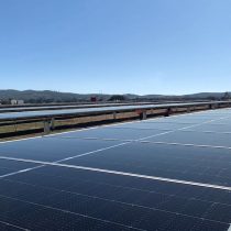 Desarrollando parques solares para aportar energía limpia en el centro del país