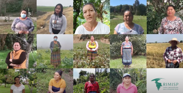 ‘‘No fue nada fácil, una tuvo que arreglárselas’’: cómo la pandemia afectó a las mujeres del mundo rural latinoamericano
