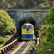 El ferrocarril en Chile y el cruce de vías de la memoria histórica y poética