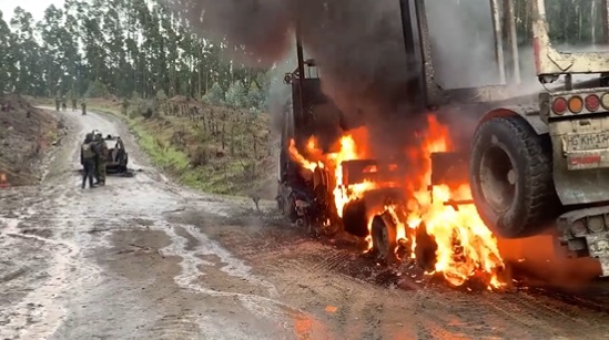 Desconocidos prendieron fuego en forestal: tercer ataque incendiario en Arauco en menos de 24 horas