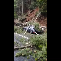 Caída de árbol sobre un vehículo en la Ruta de la Madera deja a dos personas lesionadas