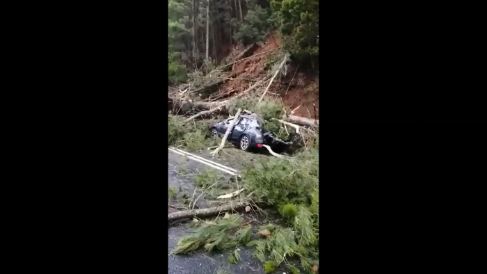 Caída de árbol sobre un vehículo en la Ruta de la Madera deja a dos personas lesionadas Caída de árbol sobre un vehículo en la Ruta de la Madera deja a dos personas lesionadas