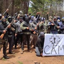 Piden al Gobierno que se pronuncie tras comunicado que afirma que la CAM se tomó siete fundos de forestales en Angol