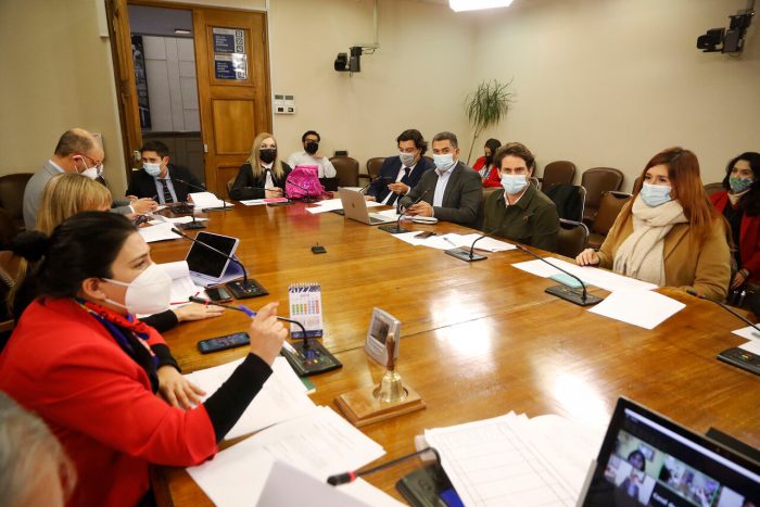 Comisión de Constitución de la Cámara despachó a Sala proyecto de test de drogas a diputados