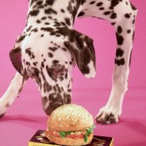 Lanzan la primera hamburguesa 100% para perros