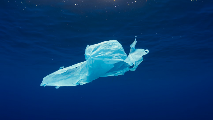 Día Internacional Sin Bolsas Plásticas: siete consejos para reducir o eliminar su uso