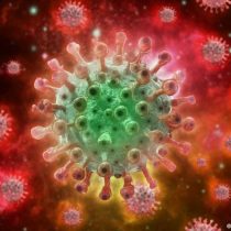 Viruela del mono supera 50.000 casos a nivel mundial