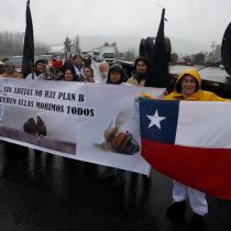 Apicultores realizaron manifestación en Santiago exigiendo mayor apoyo del gobierno 