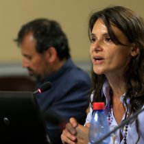 En Comisión de Hacienda de la Cámara economista Andrea Repetto asegura que a la Reforma Tributaria «la necesitamos»