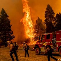 Estudio fija que incendios forestales de Estados Unidos han destruido casi todas las compensaciones de carbono forestal en reserva de 100 años