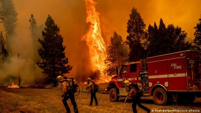 Estudio fija que incendios forestales de Estados Unidos han destruido casi todas las compensaciones de carbono forestal en reserva de 100 años