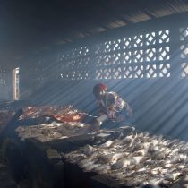 “Stolen Fish”, documental polaco sobre la sobrepesca en Gambia ganó el 1° Festival de Cine del Mar