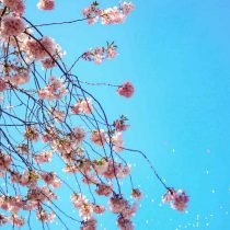 Depresión estacional: cómo sortear los efectos anímicos de la primavera