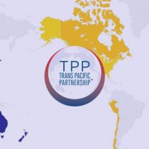 Oficialismo se cuadra con estrategia del Gobierno de no ratificar el TPP11 a la espera de las 
