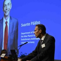 El sueco Svante Pääbo, padre de la paleogenómica, nuevo Nobel de Medicina