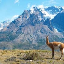 Chile gana un nuevo ‘Oscar del Turismo’ como el Mejor Destino Verde del Mundo 2022