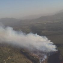 Región del Maule: decretan Alerta Roja en comunas de Molina y Río Claro por incendio forestal