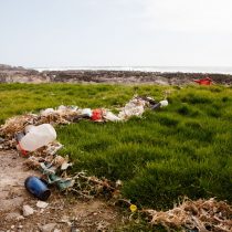 El disfraz verde y la otra ecología