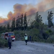 Onemi reporta siete incendios forestales activos en el país: Presidente Boric informa despliegue de equipos
