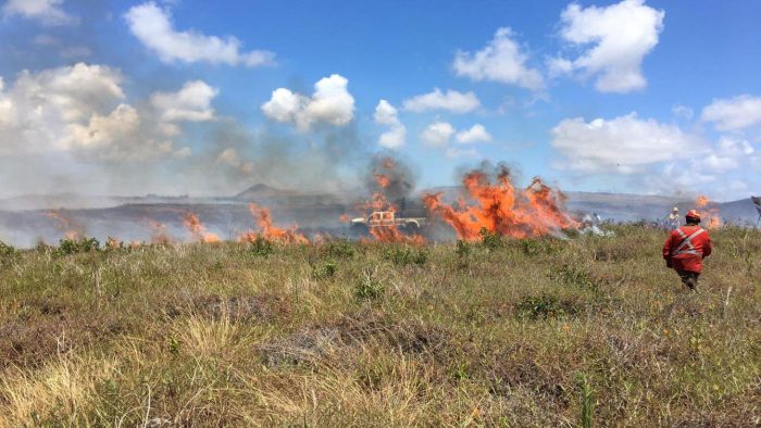 Unesco financiará diagnóstico y plan de daños de incendio en Rapa Nui Unesco financiará diagnóstico y plan de daños de incendio en Rapa Nui