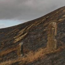 Onemi decreta Alerta Roja en Rapa Nui por incendio forestal