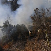 Más de 13 mil hectáreas afectadas: Consecuencias de los incendios forestales en los ecosistemas y la biodiversidad
