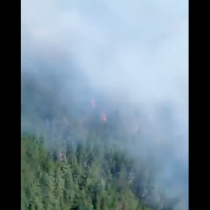 Onemi declara Alerta Roja para la comuna de Santa Juana por voraz incendio forestal