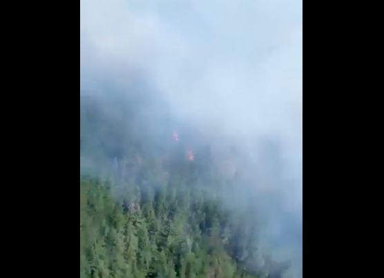 Onemi declara Alerta Roja para la comuna de Santa Juana por voraz incendio forestal
