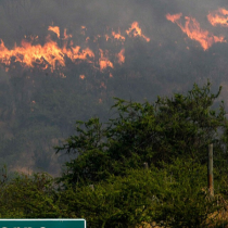Onemi decreta Alerta Roja para regiones de O'Higgins y Valparaíso por incendios forestales