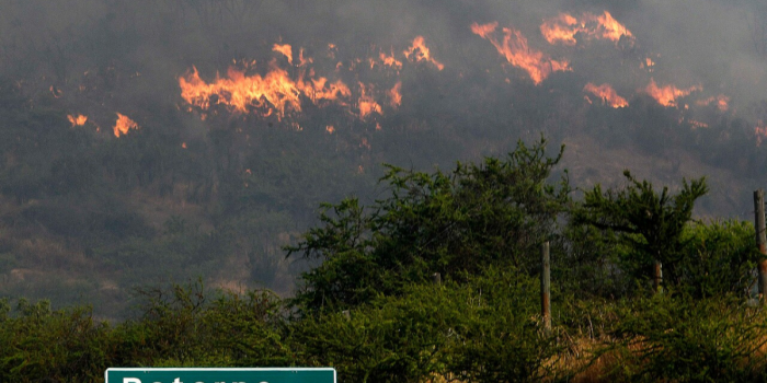 Onemi decreta Alerta Roja para regiones de O'Higgins y Valparaíso por incendios forestales