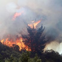 Gobierno informó despliegue militar en zonas afectadas por incendios forestales: 2 mil efectivos y 900 vehículos terrestres
