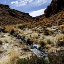 Punto para Chile: CIJ de La Haya declara que el Silala es «un curso de agua internacional»