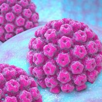 El PAP y la genotipificación: exámenes cruciales para detectar el Virus del Papiloma Humano
