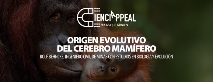 Ciclo “Cienciappeal: ideas que atraen”: experto en biología evolutiva aborda el origen del cerebro mamífero