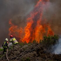 Senapred declara alerta roja para la Comuna de Ránquil y pide evacuar Paso Hondo por incendio forestal