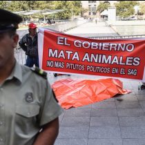 SAG condena protesta con león muerto a las afueras de La Moneda y analiza presentar acciones legales