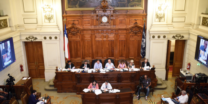Designados: la venganza de la elite, los partidos… y el piñerismo Designados: la venganza de la elite, los partidos... y el piñerismo