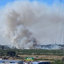 Alerta Roja para Puerto Montt por incendio forestal: siniestro ha consumido 30 hectáreas
