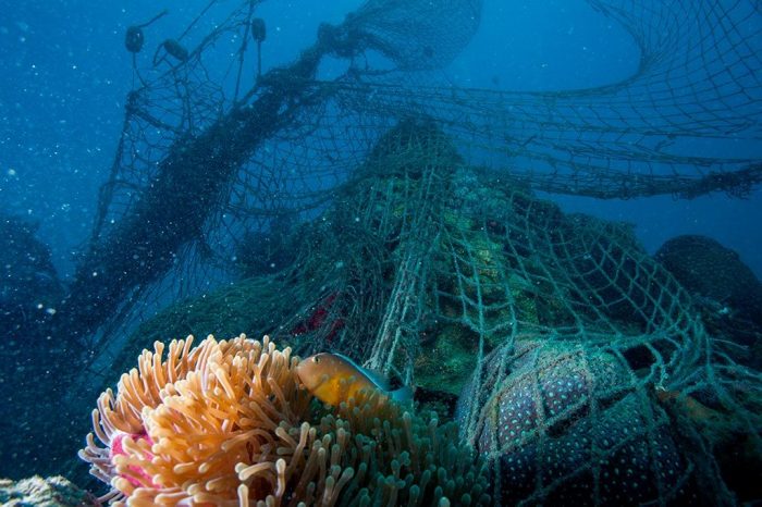 Se crea primer interruptor eléctrico sustentable hecho con redes de pesca recicladas en Chile Se crea primer interruptor eléctrico sustentable hecho con redes de pesca recicladas en Chile