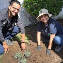 Implementan jardines urbanos demostrativos para la conservación de flora costera endémica en la Región de Antofagasta