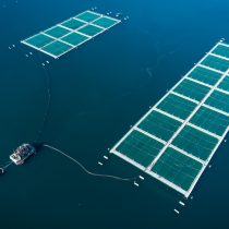 Nova Austral alega por resolución de la SMA: aboga por 