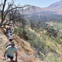 Enoturismo: nuevo recorrido de trekking Loma Larga tiene a la naturaleza como protagonista