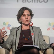 Vientos de cambio en la Sofofa: Rosario Navarro será la primera mujer presidenta de su historia