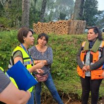 Ministra de Bienes Nacionales por incendios en Los Ríos: «Es necesario que estemos en una disposición de alerta y prevención»