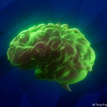 Científicos chinos informan de primer caso de Alzheimer en un joven de 19 años