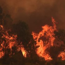 Gobierno confirma reactivación de incendios forestales en el Biobío y La Araucanía