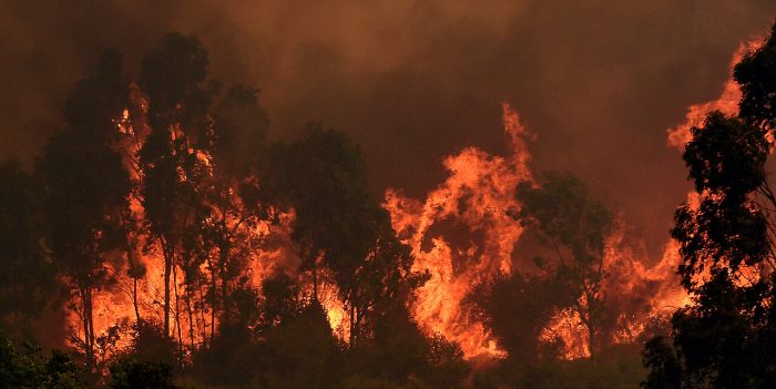 Gobierno confirma reactivación de incendios forestales en el Biobío y La Araucanía
