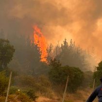 Gobierno decreta Estado de Excepción en la región del Ñuble a raíz de los incendios forestales