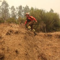 Gobierno confirmó muerte de brigadista forestal que combatía incendios en la zona centro sur