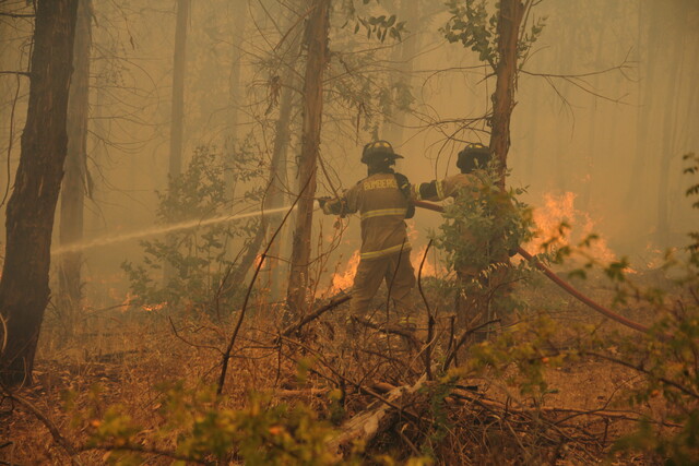 Chile sin incendios, ¿es posible? Chile sin incendios, ¿es posible?